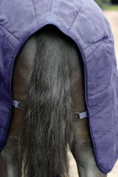 Pferde Stalldecke und Unterdecke - Pferdedecke 2 in 1 - RugBe 100 g Thermovlies